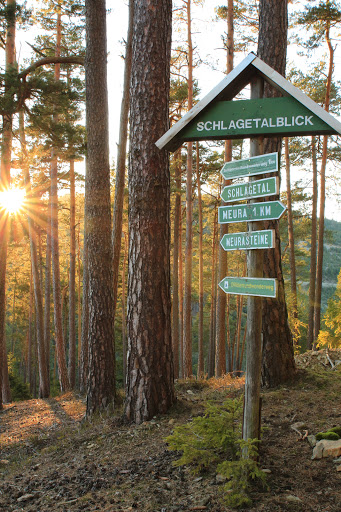 Meurasteine - Visual