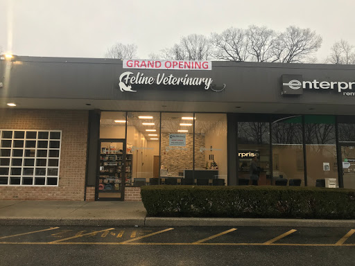 Feline Veterinary Medical Center - Thumbnail