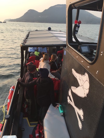 Photos of Outer Island Excursions