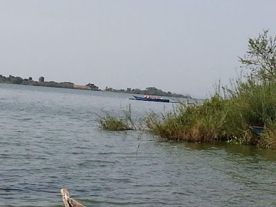 Photos of Kungwe Fish