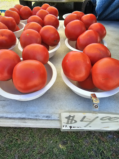 High Springs Farmers Market Gallery - United States