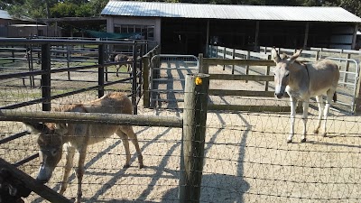 Photos of Alaqua Animal Refuge