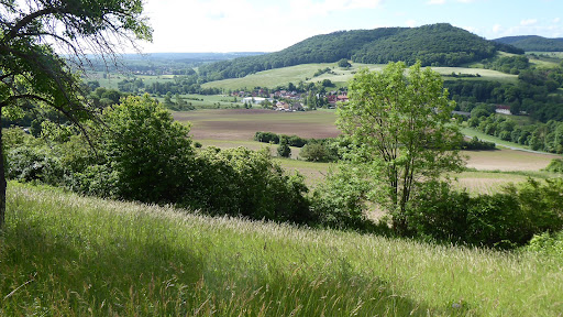 Gemeinde Löberschütz - Visual