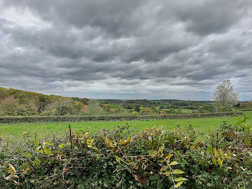 Martelberg - Visual