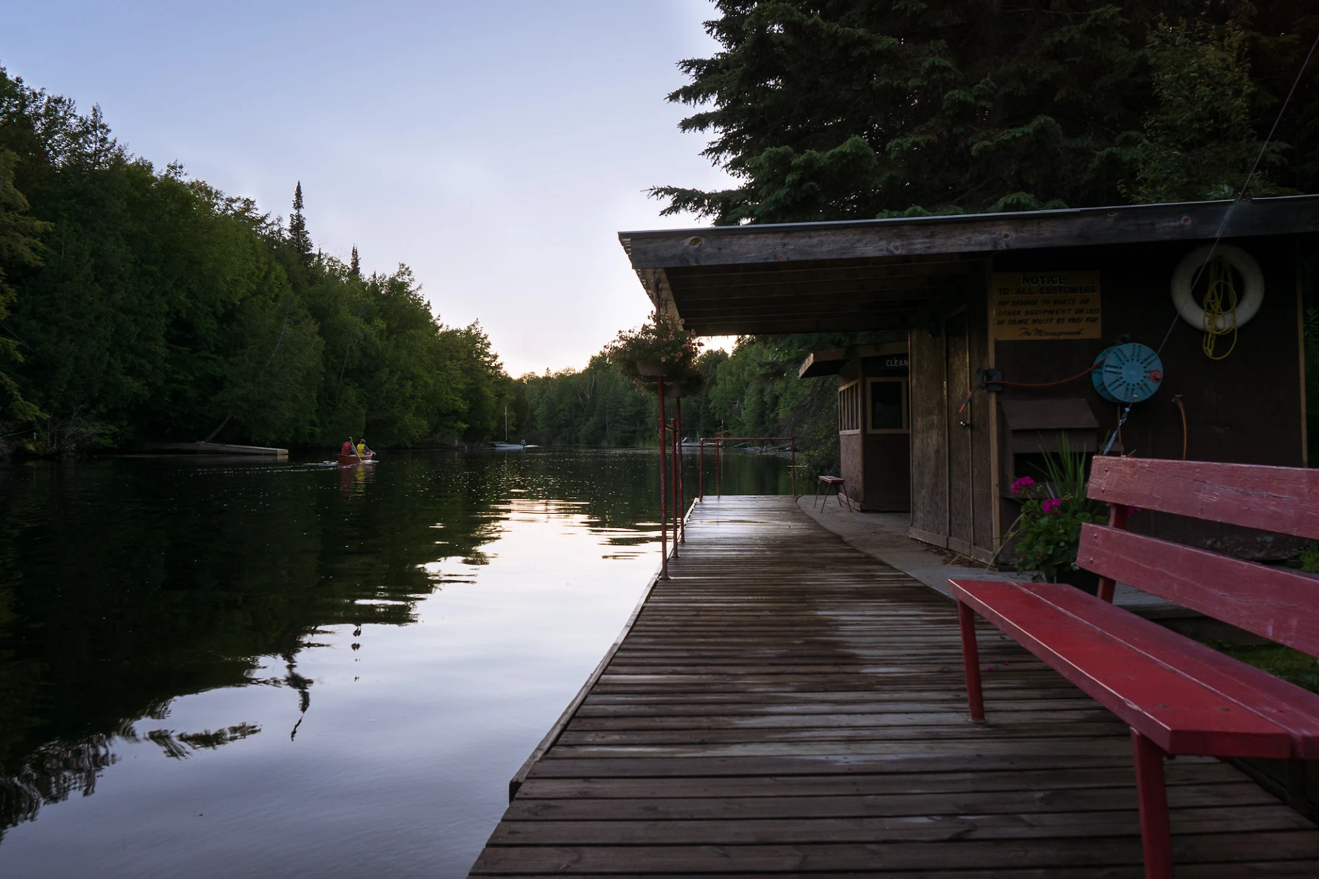 Birchwood on the River
