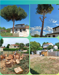 Photo n°17 de Ludovic Assie Gascogne 82 à Verdun-sur-Garonne (Jardin)