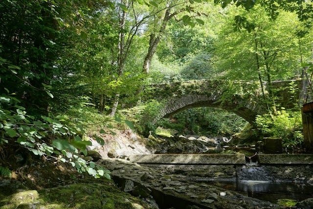 Sutherland's Grove forest walks