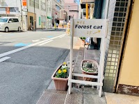 Forest cat - neko to zakka -