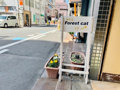 Forest cat - neko to zakka -