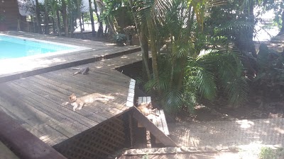 Photos of Captain John's Marina