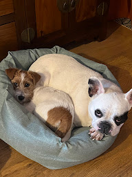 Photo n°29 de La Cure Vosgienne à Champdray (Chambre d'hôtes)