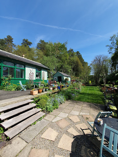 site_photo1