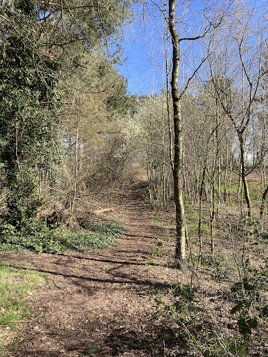 Fehntjer Berg - Thumbnail