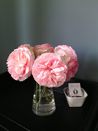 Photo n°33 de Plumes & Coton à Écurie (Chambre d'hôtes)