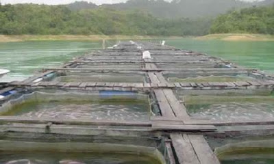 Photos of Groupe Pisciculture du Nord