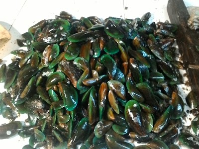 Photos of UD Mitra Laut
