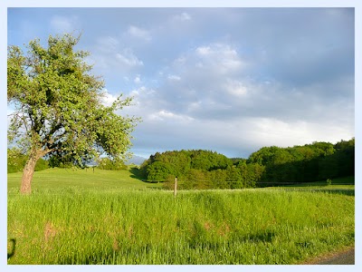 Photos of Ferienhaus Fischbach | Familie Pfeifer