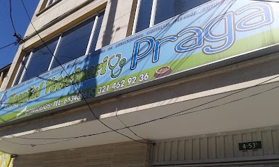 Photos of Hospital veterinario Praga