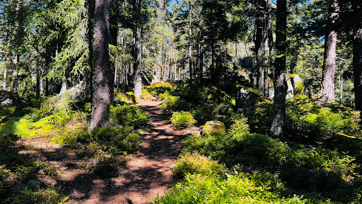 Rocher du Koenigsstuhl - Thumbnail