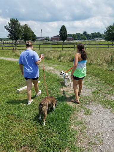 Baker House Animal Hospital - Thumbnail