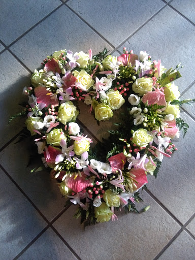 Deniflor - Visual