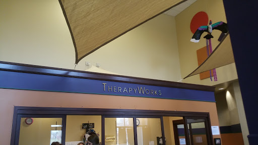 TherapyWorks - Visual