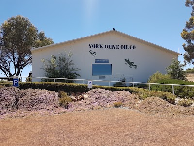 Photos of York Olive Oil Co.