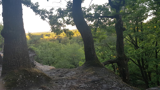 Eikenbos - Visual