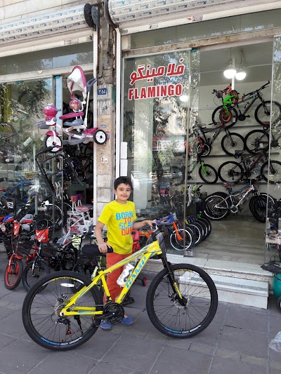 Photos of Camp bike shop