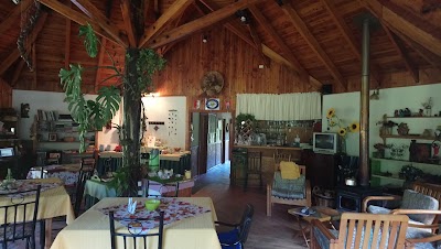 Photos of Club Los Ulmos