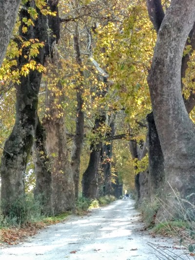 Bursa Doğu Kavşağı