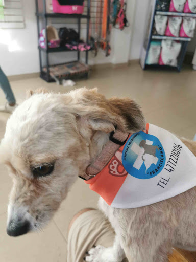 Clínica Veterinaria Franciscano