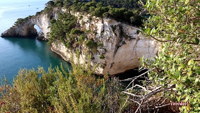 Photos of Hotel Nel Pineto