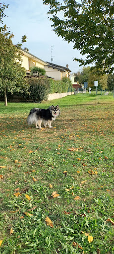 Area Sgambamento Cani Godo - Thumbnail
