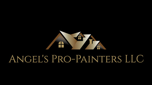 Angel's Pro Painters - Visual