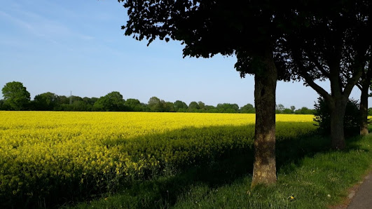 Nicki's Ferien Oase Kirchstraße 15, 24619 Bornhöved, Deutschland