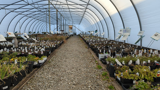 Sun Nurseries - Visual