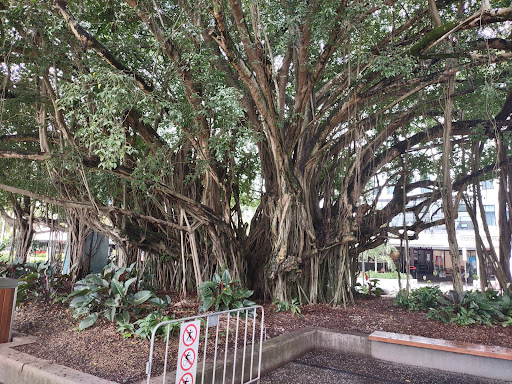 Hertz Car Rental - Cairns Downtown - Thumbnail