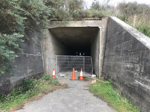 Pembrey Country Park
