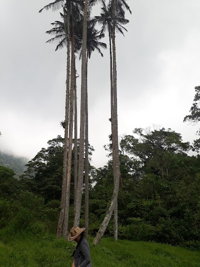 Photos of laguna seca, parque natural chicaque