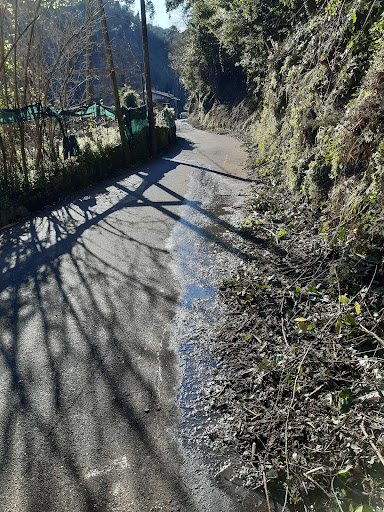 Tratto vecchio di via Roma Logo