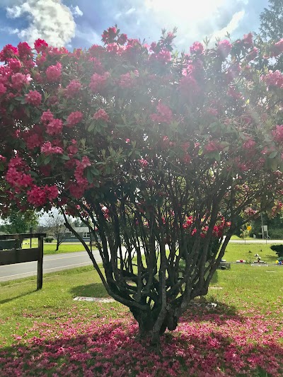 Forks Cemetery