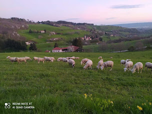 Photo n°16 de La ferme de Toutes Aures à Brion (Ferme bio)