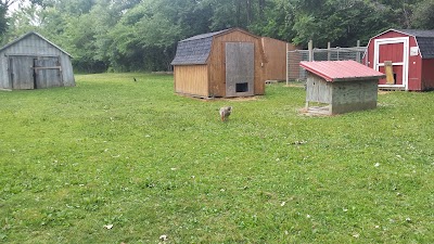 Photos of Friends of Felines' Rescue Center