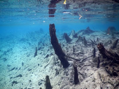 Photos of Morrison Springs State Park
