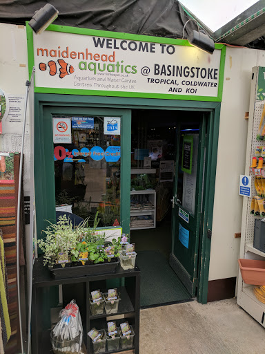 Maidenhead Aquatics Basingstoke