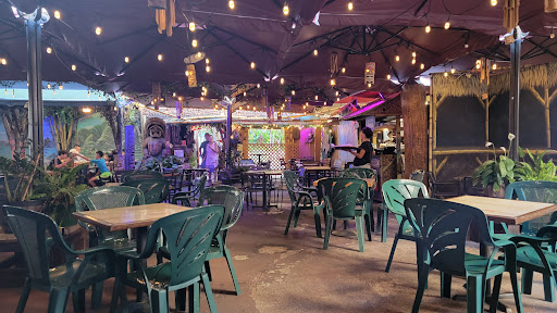 Cuckoo Coconuts - Visual