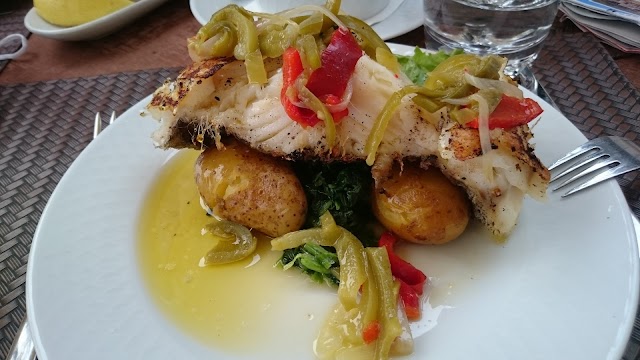 Fish Fixe