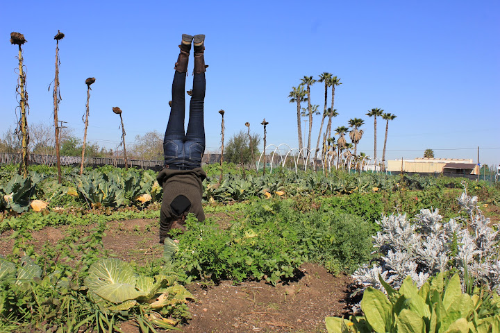Wild Willow Farm & Education Center by null