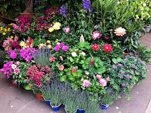 Photo n°43 de La Cité des Fleurs à Paris (Fleuriste)